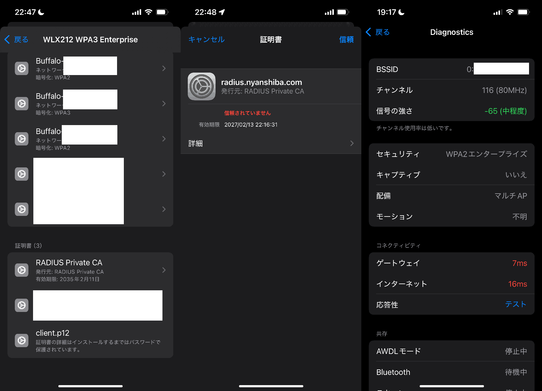 構成プロファイルをiPhoneにインストールし、AppleのWi-Fiデバッグプロファイルで確認
